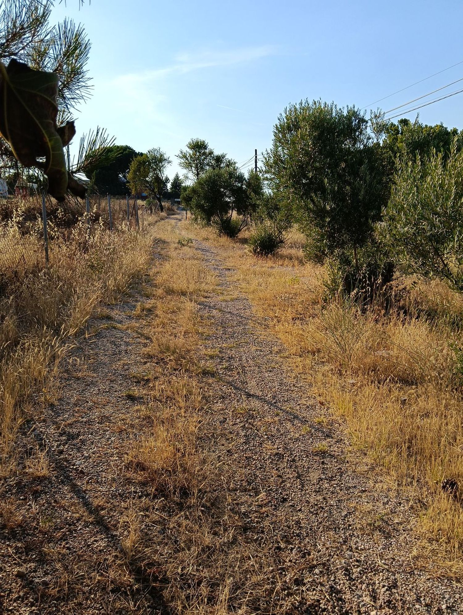 Casa rural en Carretera Griñon, 35 - Foto 12