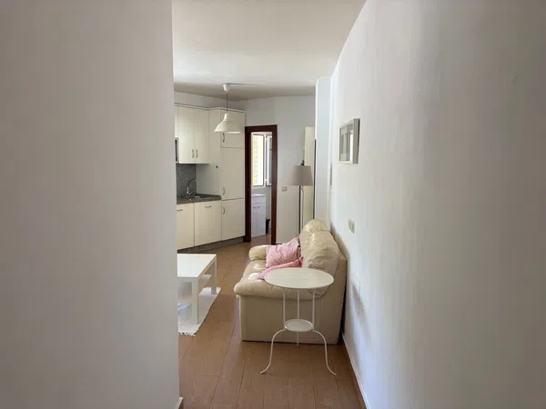 Dúplex en Calle Francisco Juan Carrillo, 4, Cerrado de Calderón - Hacienda Paredes - Foto 3