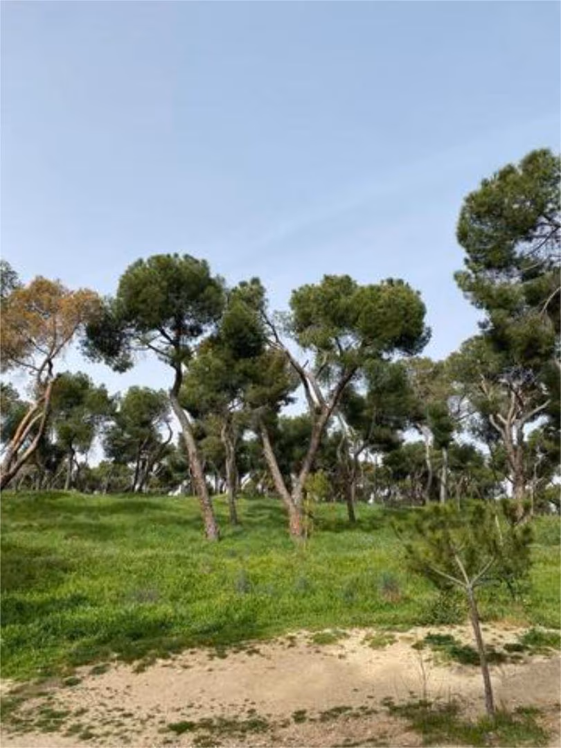 Piso en Moncloa - Foto 8