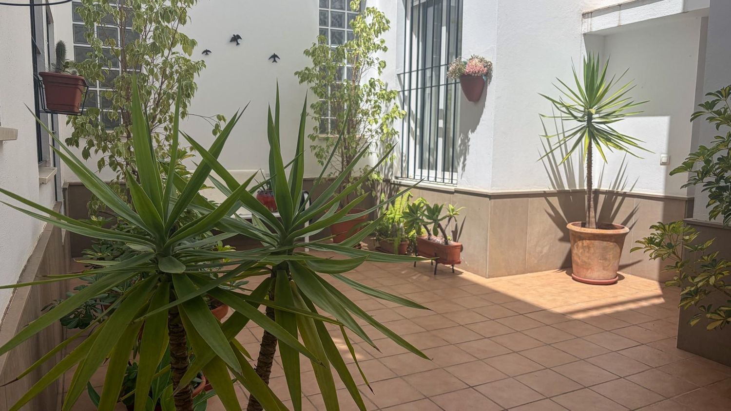 Piso en Calle Felipe Hidalgo, 69, Ayamonte Pueblo, Ayamonte Pueblo - Foto 22