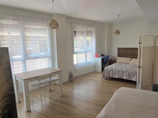 Estudio en Calle Angel Barajas, 7, Zona Estación - Foto 12