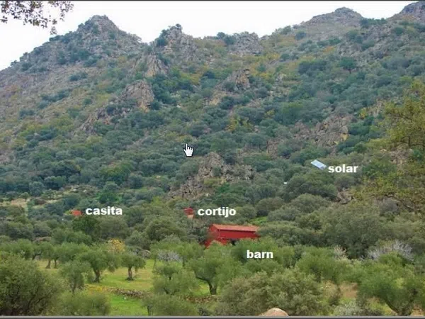 Cortijo en Cortijo en Carretera Albalá del Caudillo s/n - Foto 9