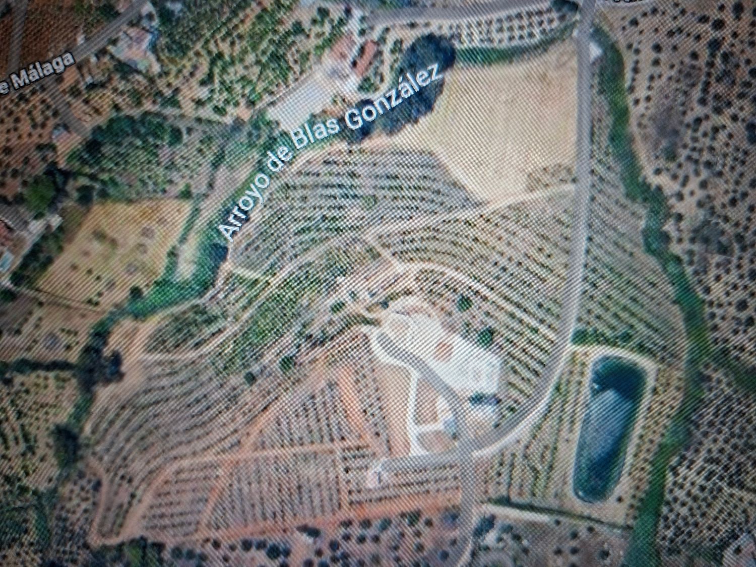 Finca rústica en Camino Arroyo Blas Gonzalez, 2, Buenavista-Lauro Golf, Buenavista-Lauro Golf - Foto 2