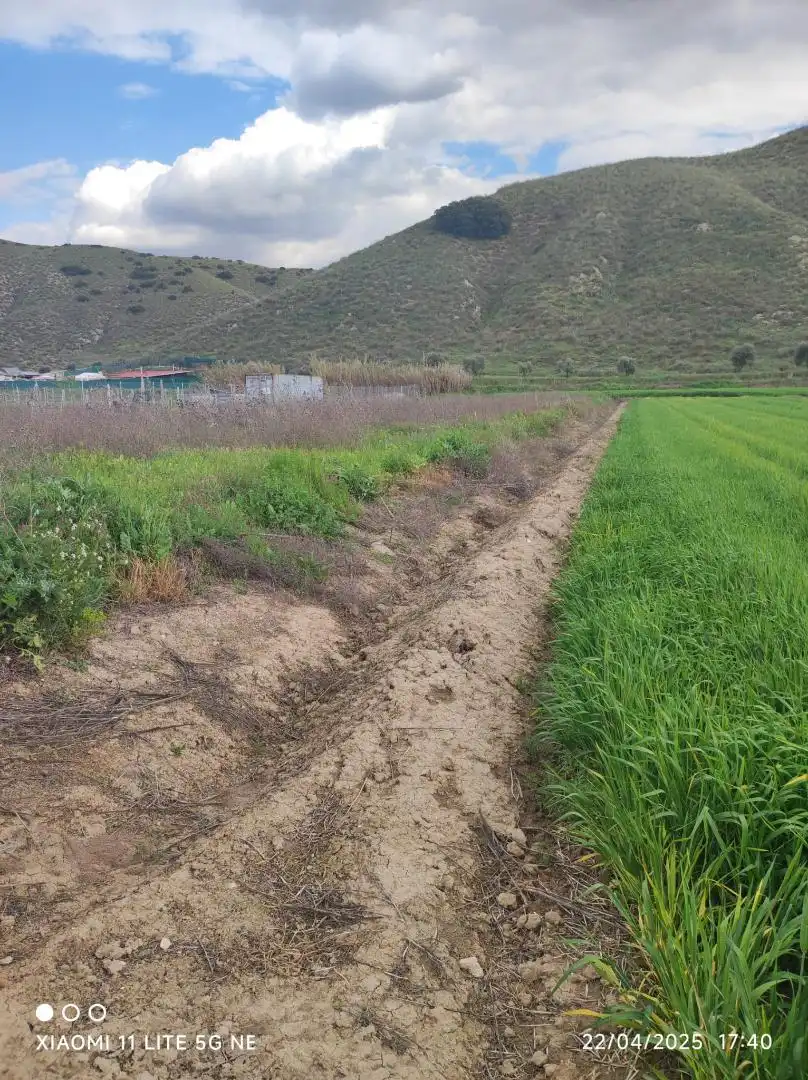 Finca rústica en  Camino del Corral del Calvo 74 - Foto 6