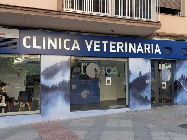 Local en Plaza de Gran Capitán, 5, Gran Capitán - Foto 1