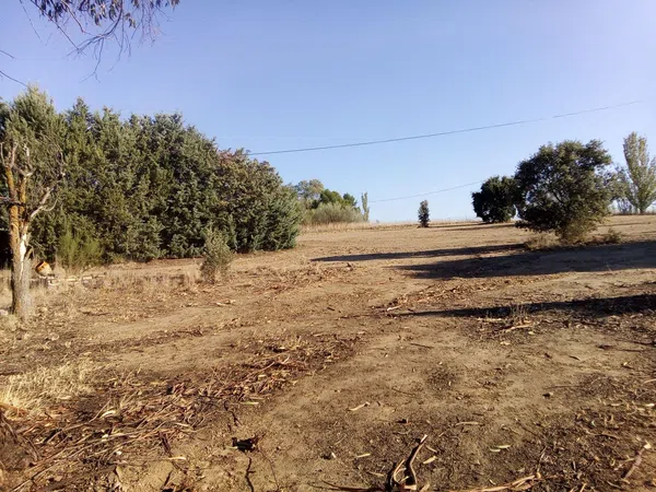 Finca rústica en camino de las laderas, 45 - Foto 1