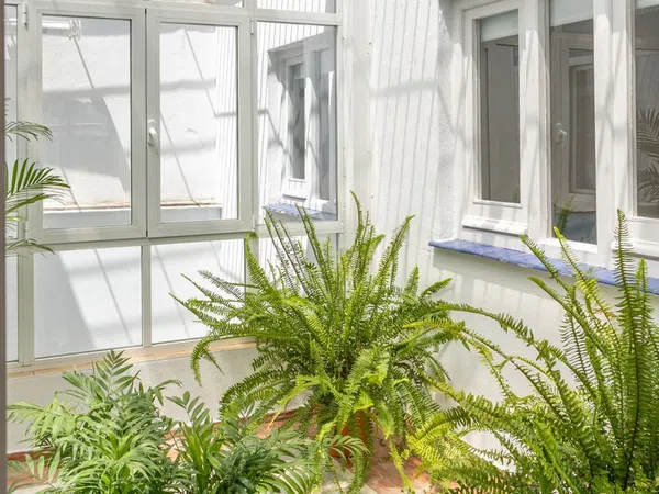 Piso en plaza de Santa Cruz, 10 - Foto 33