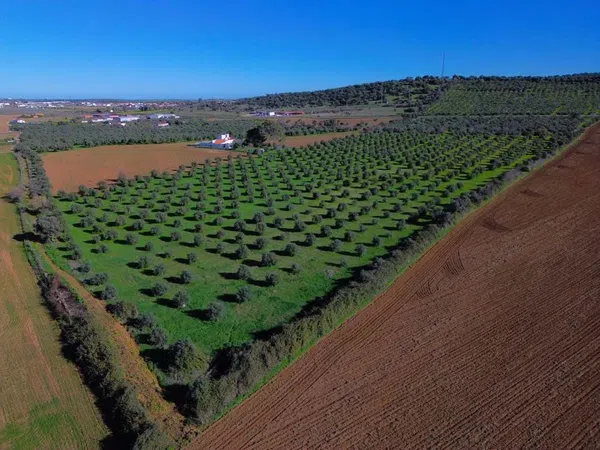 Cortijo en Ex-107 s/n - Foto 24