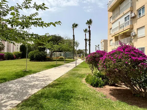 Piso en Agustín Bertomeu, 4, El Palmeral-Urbanova-Tabarca - Foto 20