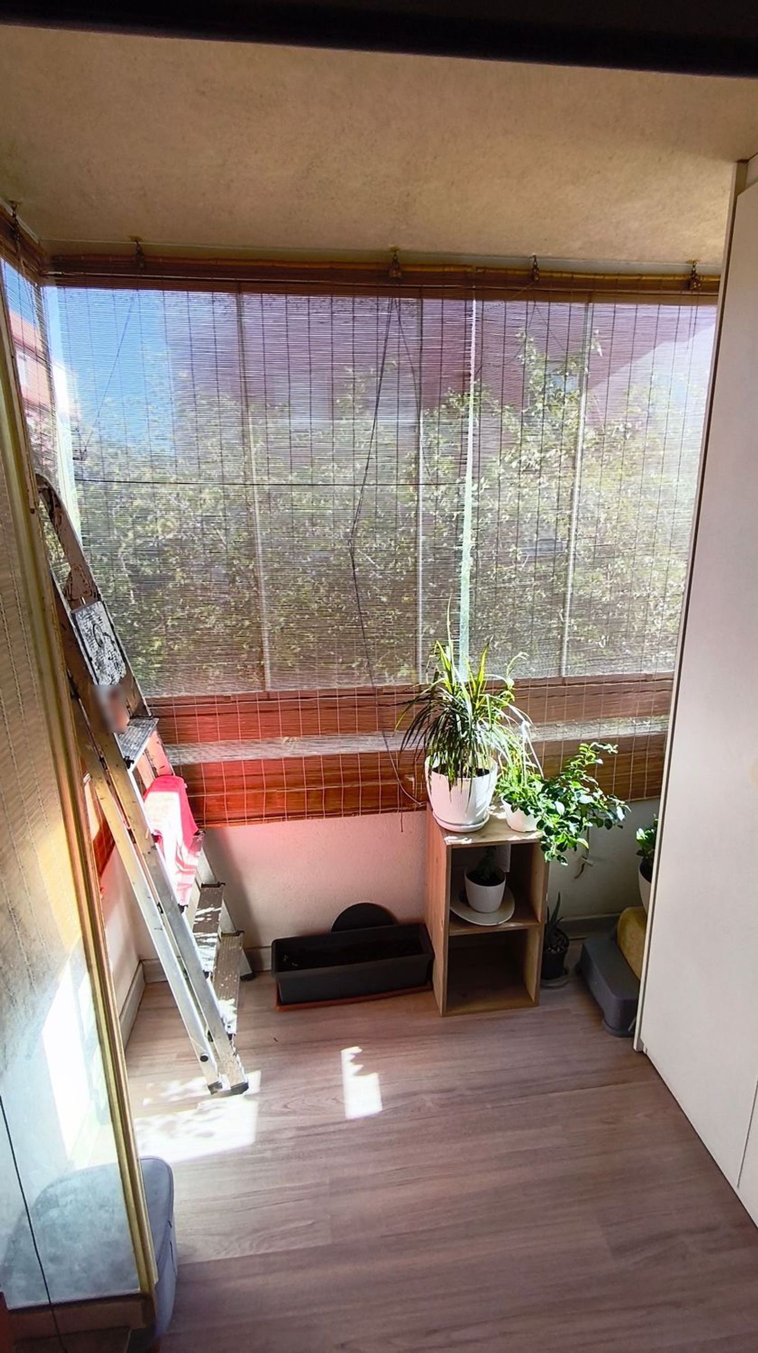 Piso en Calle Maestro Amate, 2, Barrio San Luis - Los Molinos, Barrio San Luis - Los Molinos - Foto 4