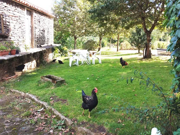 Casa o chalet independiente en Cp-1402, 18 - Foto 7