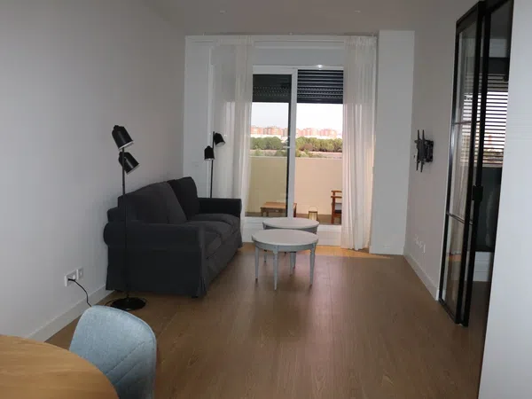 Piso en Calle Mikonos, 7, Palmas Altas - Foto 4