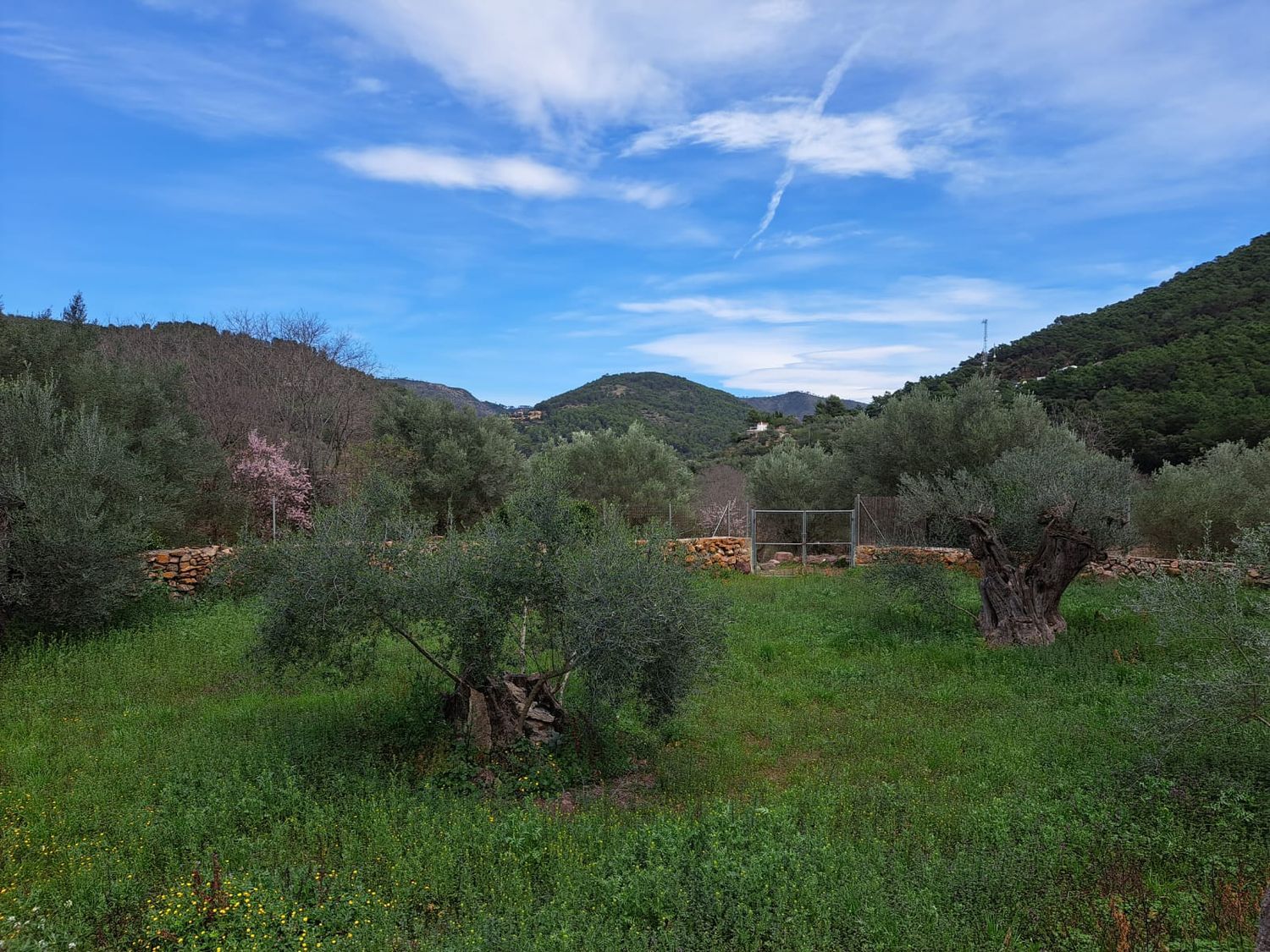Casa rural en Camino Matilde polígono 9, 24 Parcela 24 - Foto 12