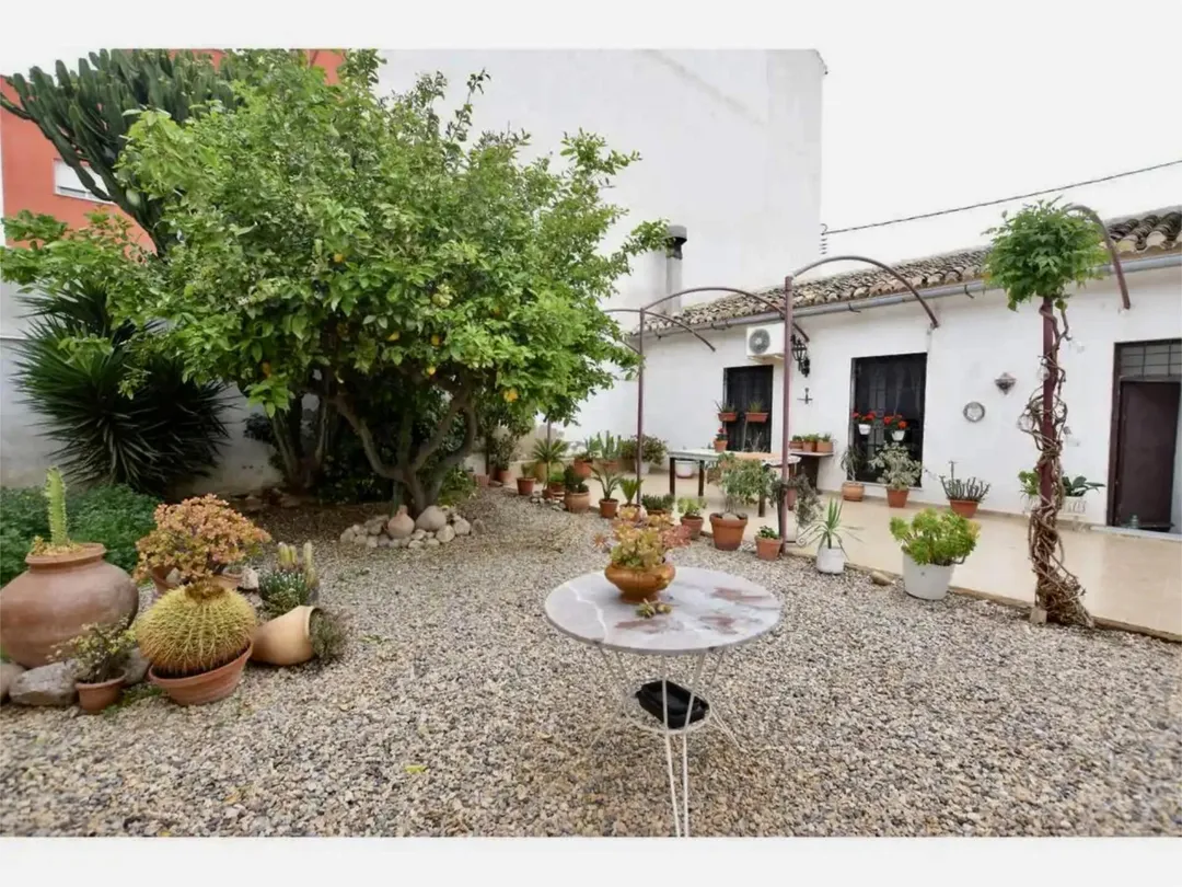 Planta baja en  Calle Maestros Nacionales 1 - Foto 7