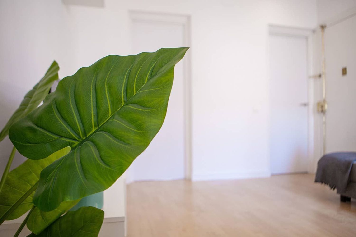 Piso en paseo de Extremadura, 73 - Foto 19