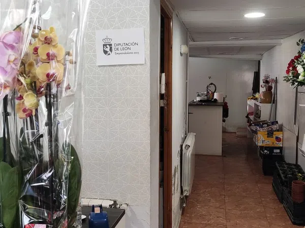 Casa o chalet independiente en Avenida la Constitución, 25 - Foto 2
