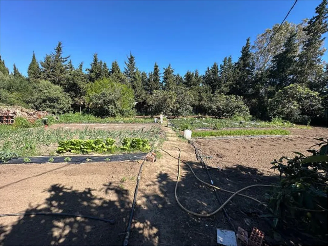 Casa adosada en Chiclana de la frontera - Foto 8