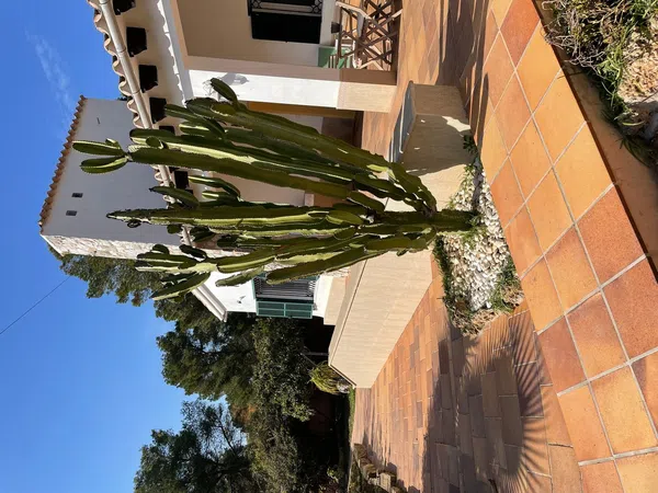 Chalet pareado en calle de Foncalada, 10 - Foto 18