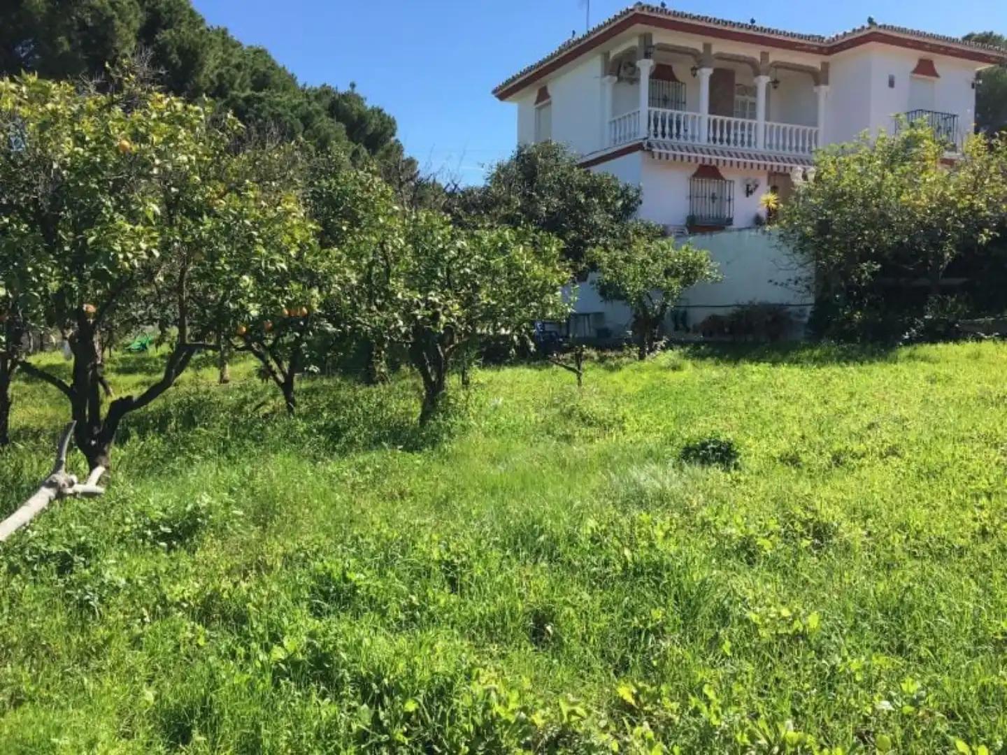 Chalet en  Camino Joaquín Blume 7 - Foto 6