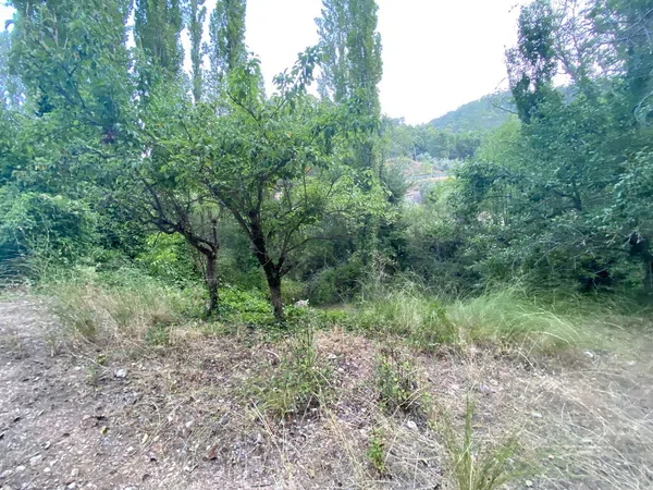 Finca rústica en Sn s/n - Foto 25