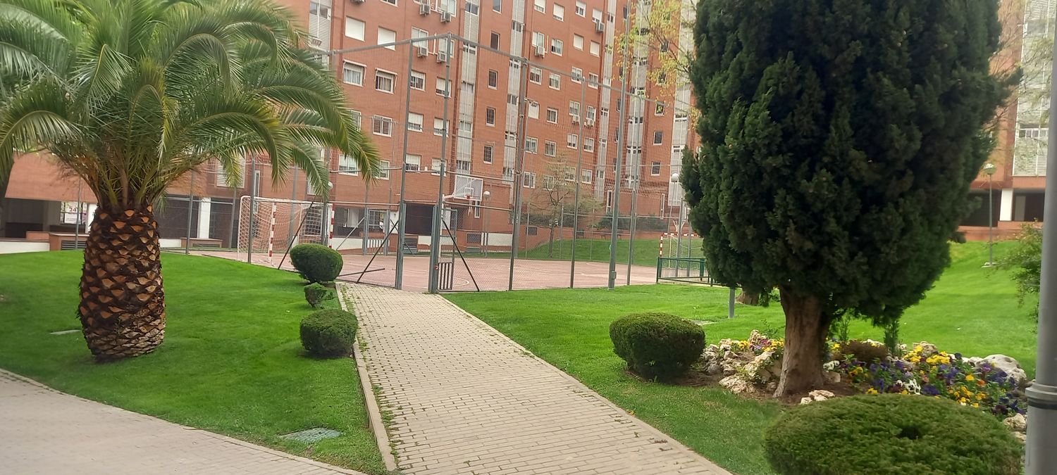 Piso en calle del Molino Viejo, 14 - Foto 1