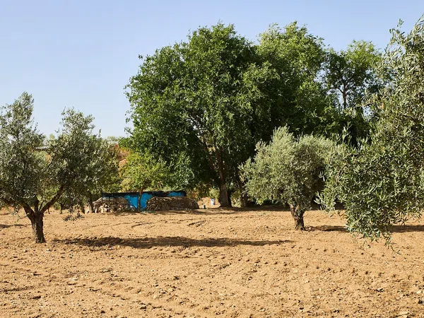Finca rústica en Camino de la Mata s/n - Foto 25