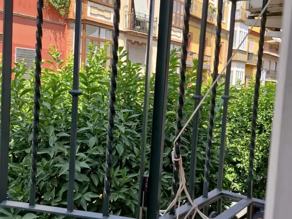 Piso en Encarnación-Las Setas - Foto 9