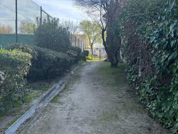 Chalet adosado en Barrio El Pinar- Punta Galea - Foto 37