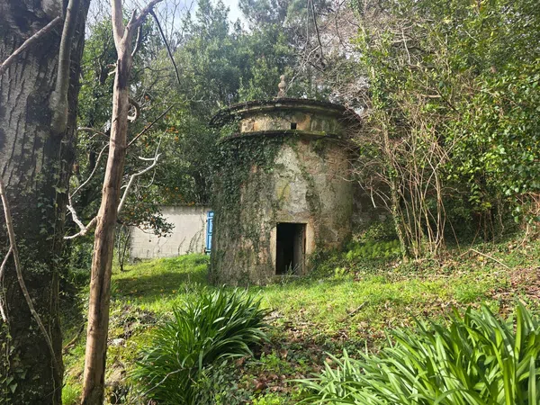 Caserón en pazo, 3 - Foto 9