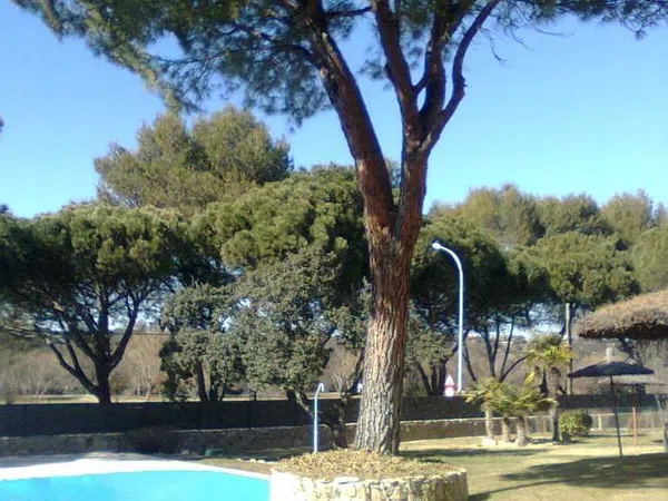 Piso en Calle Guadiana, 115, El Bosque, El Bosque - Foto 11
