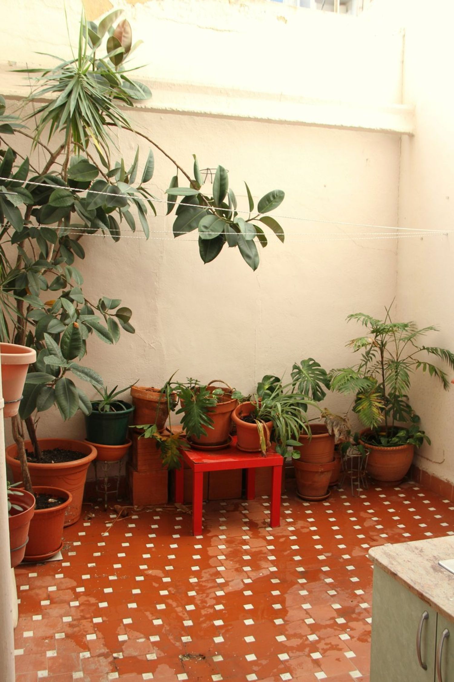 Piso en Calle José Javier, 5, Santa María de Gracia - Foto 16