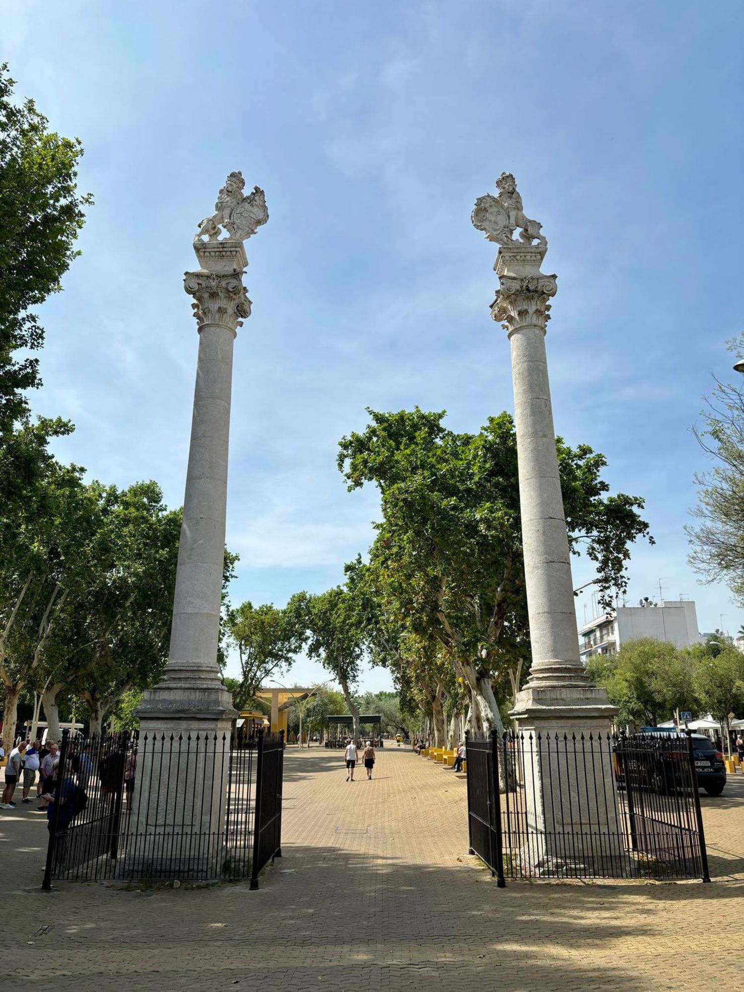 Estudio en calle Torneo, 23 - Foto 16