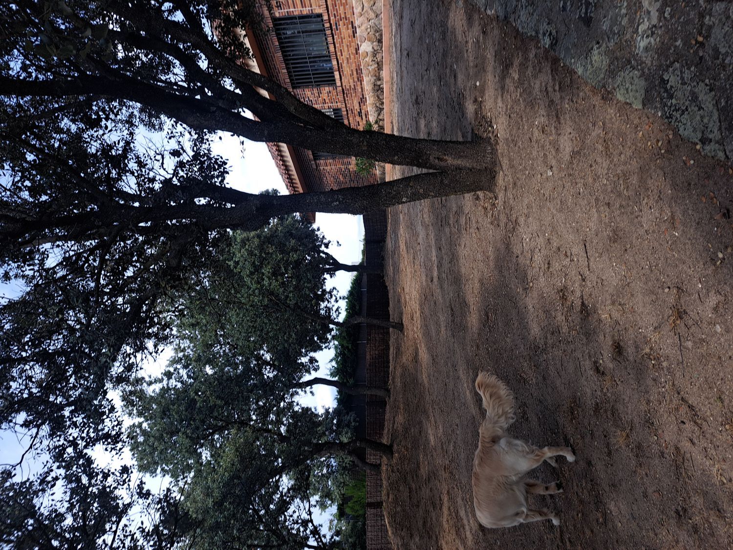 Casa independiente en avenida de Marsil, 79 - Foto 21