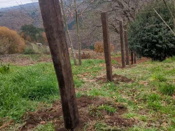 Casa rural en San Pedro de Líncora s/n - Foto 7