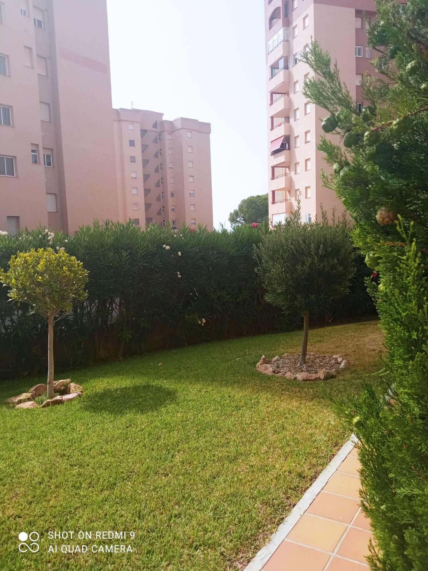 Piso en Calle Teodoro Llorente, 16, Campoamor - Foto 29