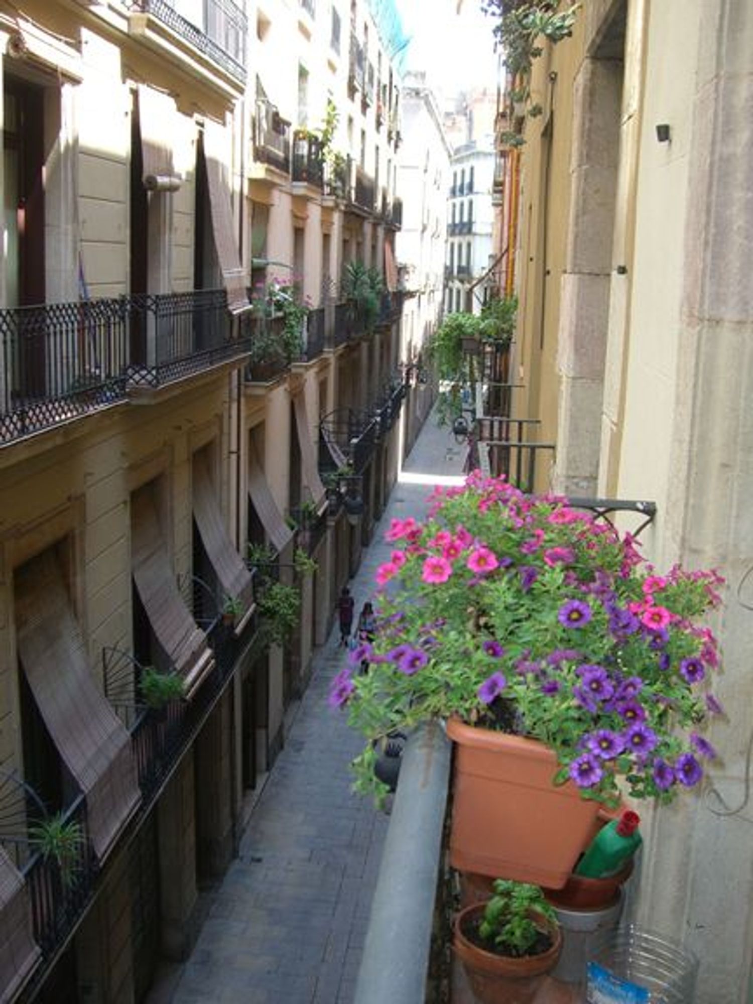 Piso en Calle Nou de Sant Francesc, 30, El Gòtic - Foto 22