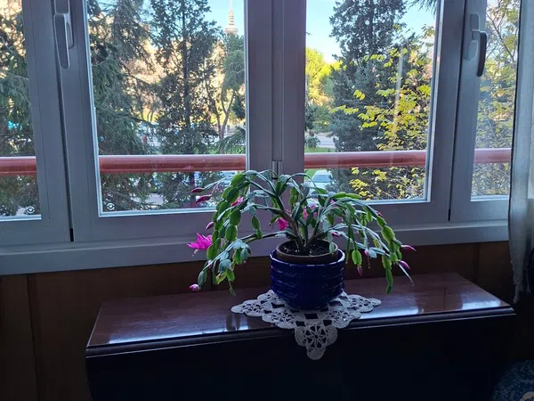 Piso en Barrio Media Legua