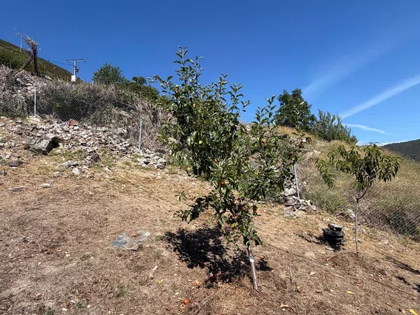 Casa de pueblo en Quintá de Moia, 2 - Foto 3