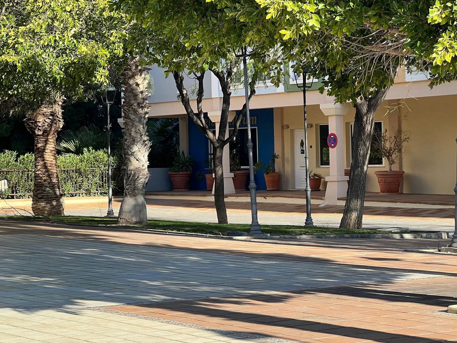 Estudio en calle de la Nit, 1 - Foto 1