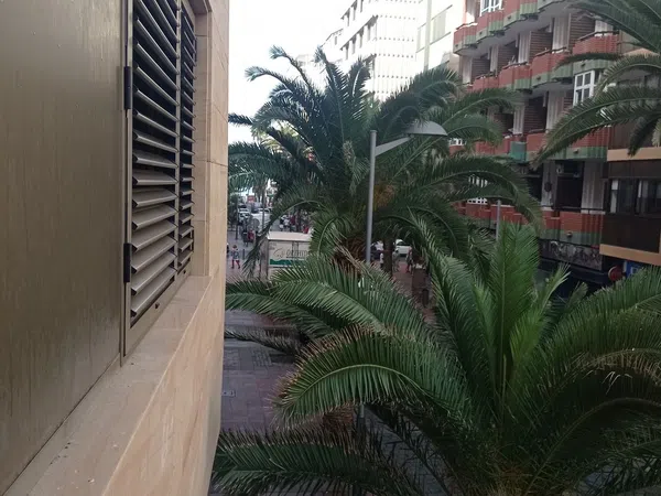 Piso en Calle Luis Morote, 30, Santa Catalina - Canteras - Foto 1