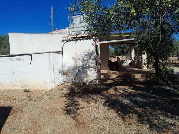 Casa o chalet independiente en Camino de Mossèn Vicent, 29 - Foto 2