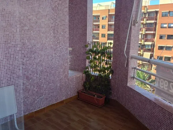 Piso en avenida Oscar Espla, 24 - Foto 14