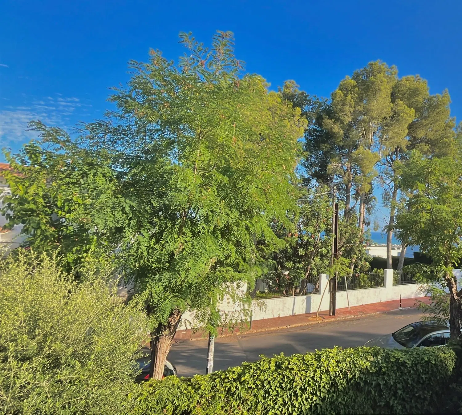 Piso en avenida de Santiago Rusiñol, 20 - Foto 12