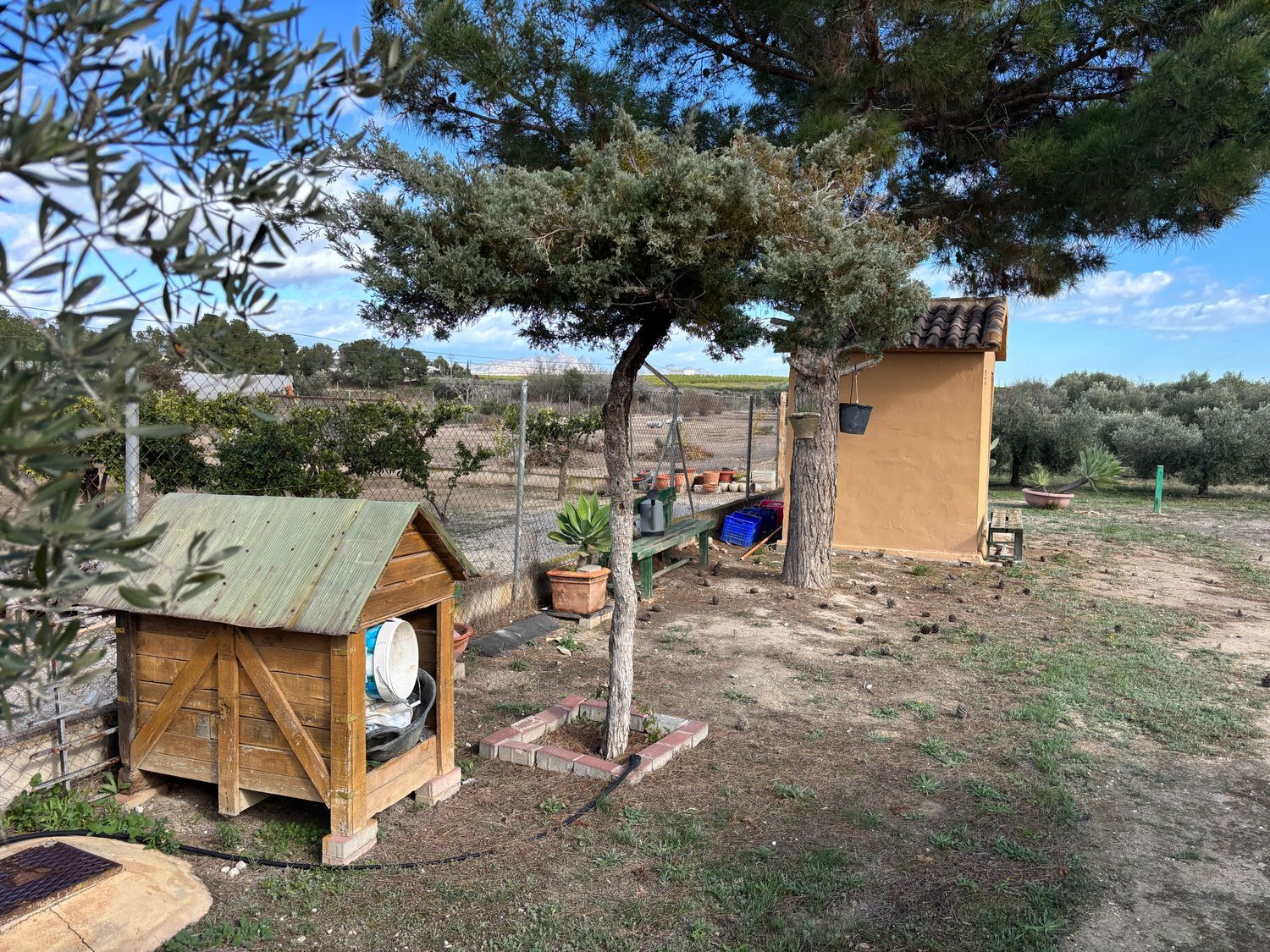 Finca rústica en calle Fc Ladrillo, 11 - Foto 6