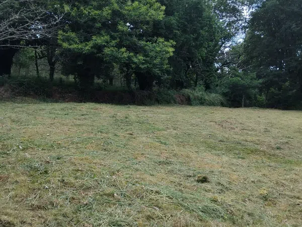 Casa rural en Setefontes s/n - Foto 33