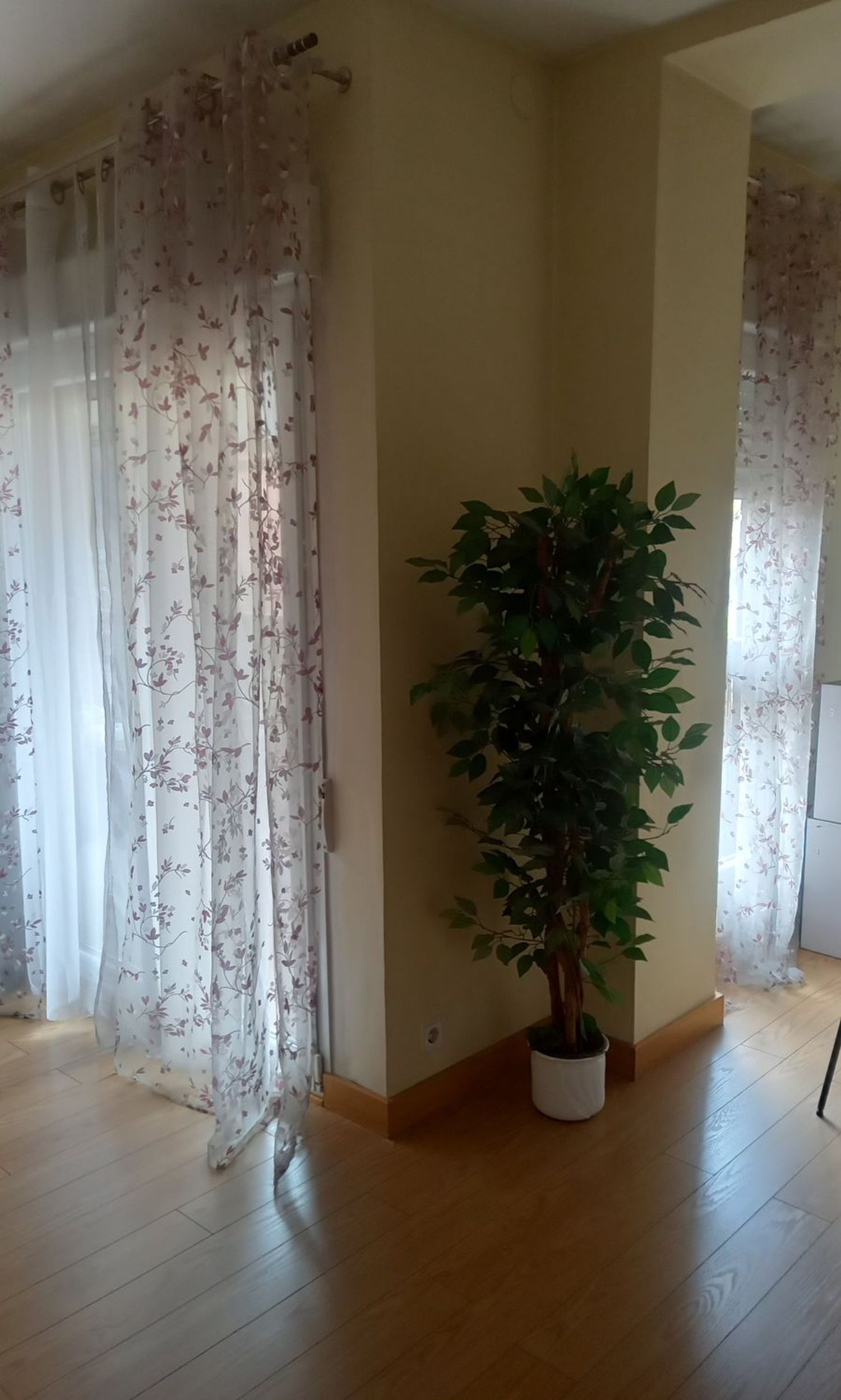 Piso en paseo de María Agustín, 62 - Foto 4