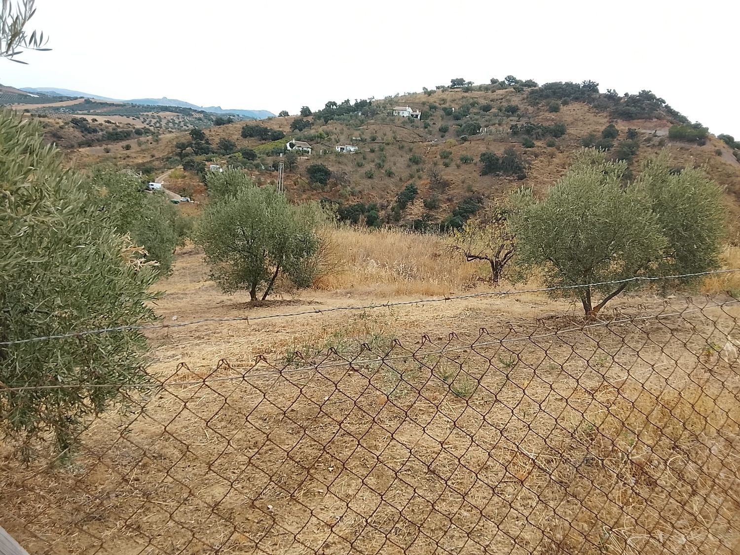 Finca rústica en Calle Emilio Prados, 2 - Foto 5