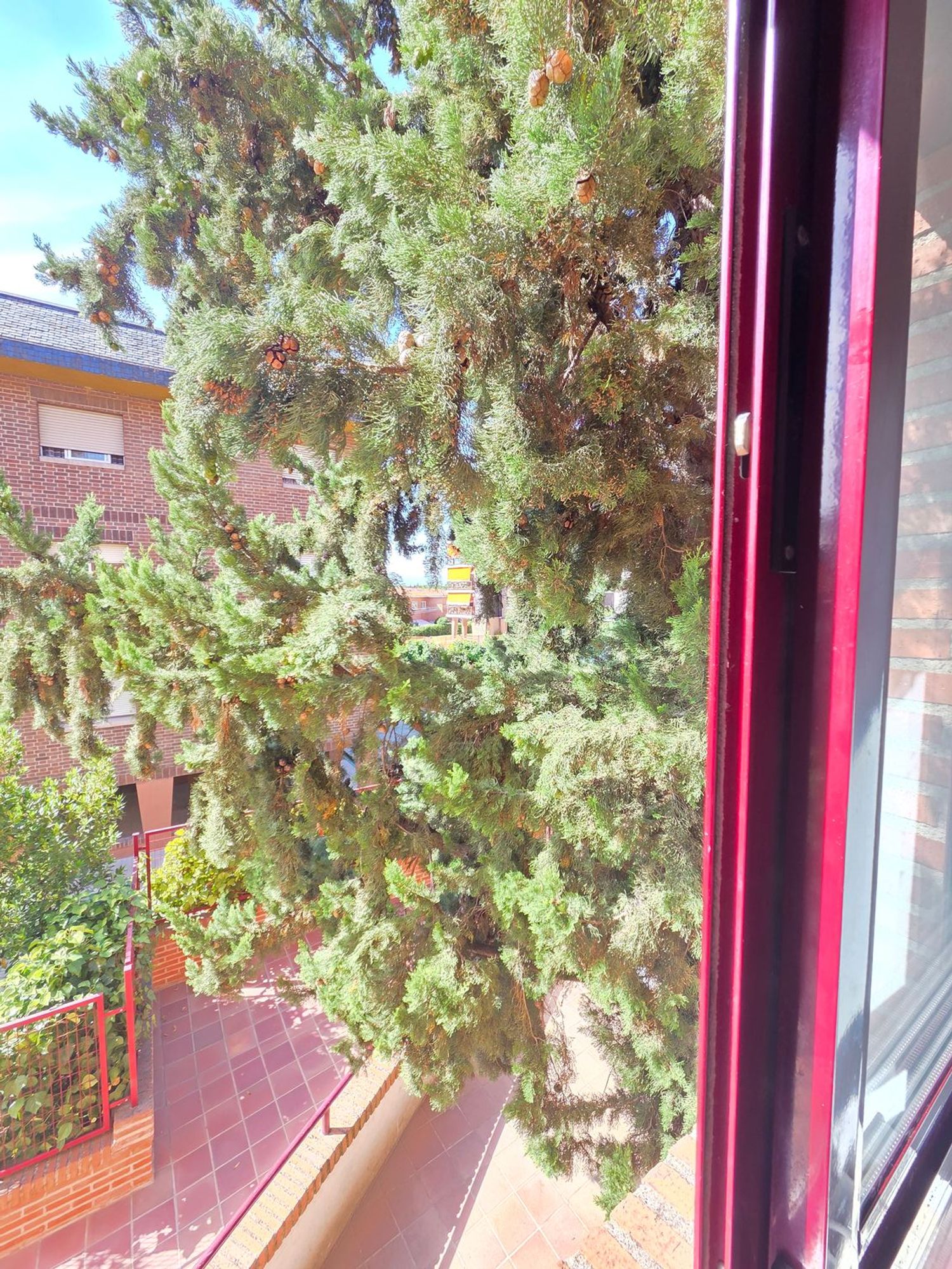Estudio en Calle Doctor Cornago, Zona Pueblo - Foto 3