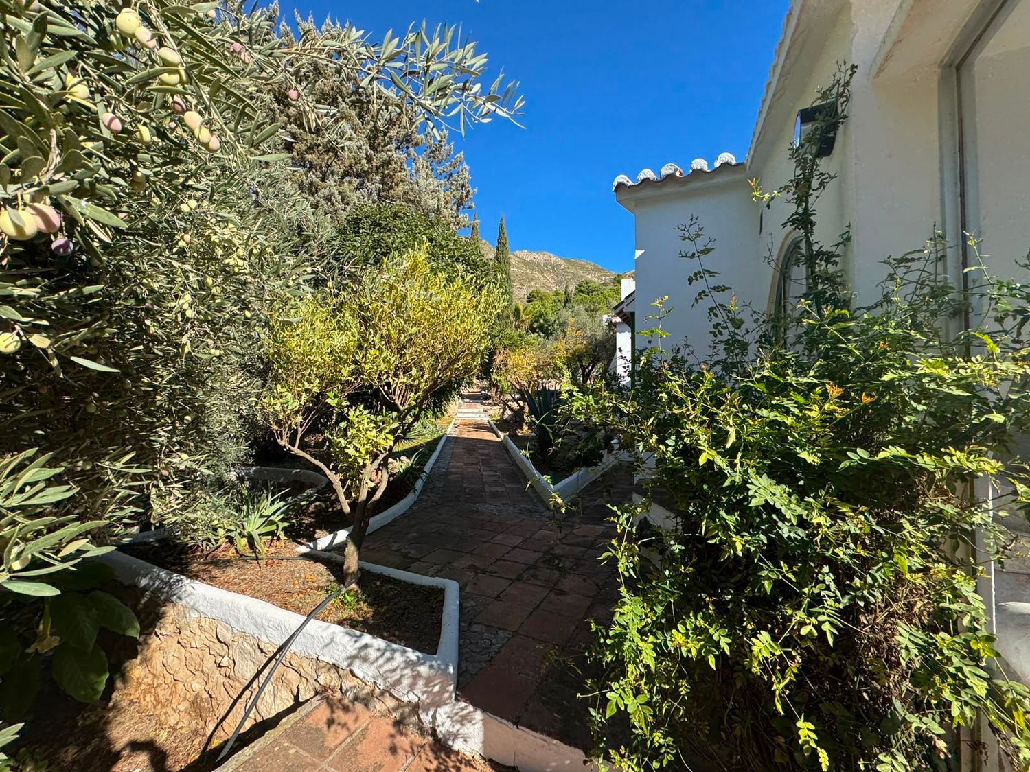 Cortijo en Cortijo en Calle Tejarejo, 560 - Foto 29