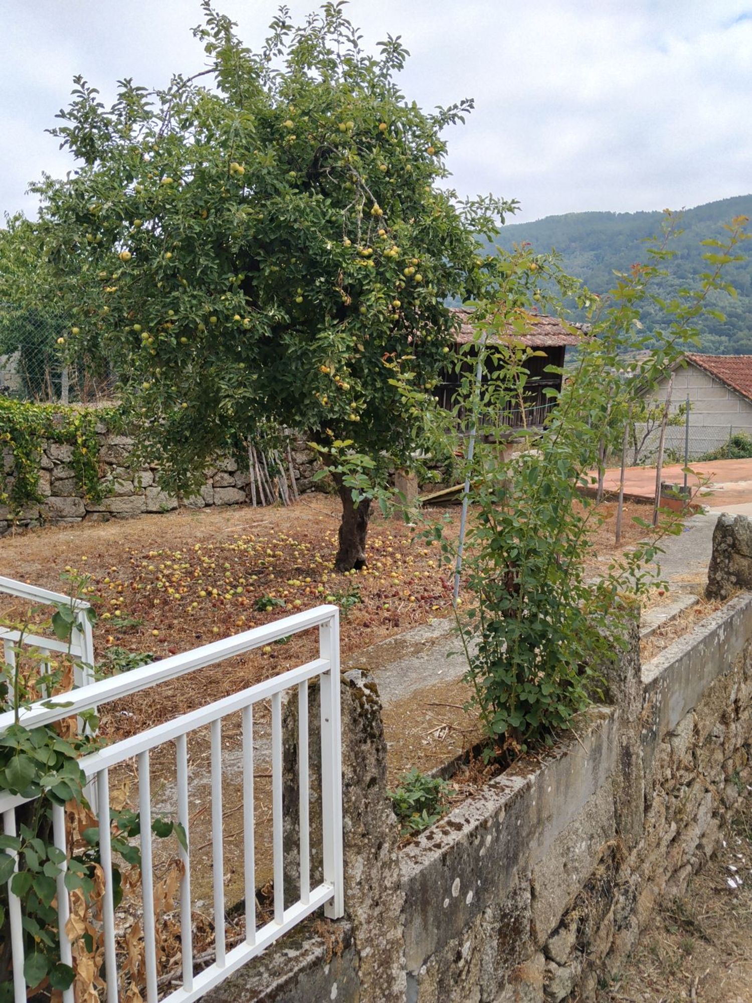 Casa de pueblo en Lg. Remuiño, 39 - Foto 4